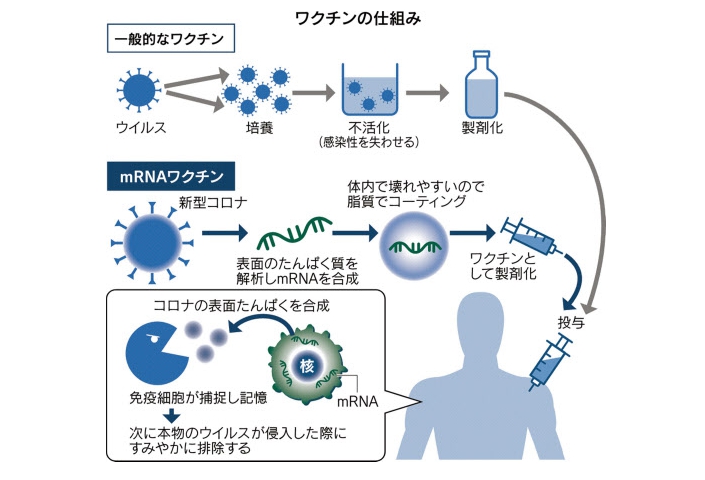帯状疱疹はどのように治療されますか?